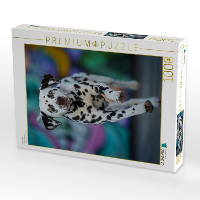 Dalmatiner - CALVENDO Foto-Puzzle'