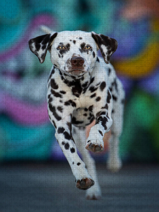 Dalmatiner - CALVENDO Foto-Puzzle'