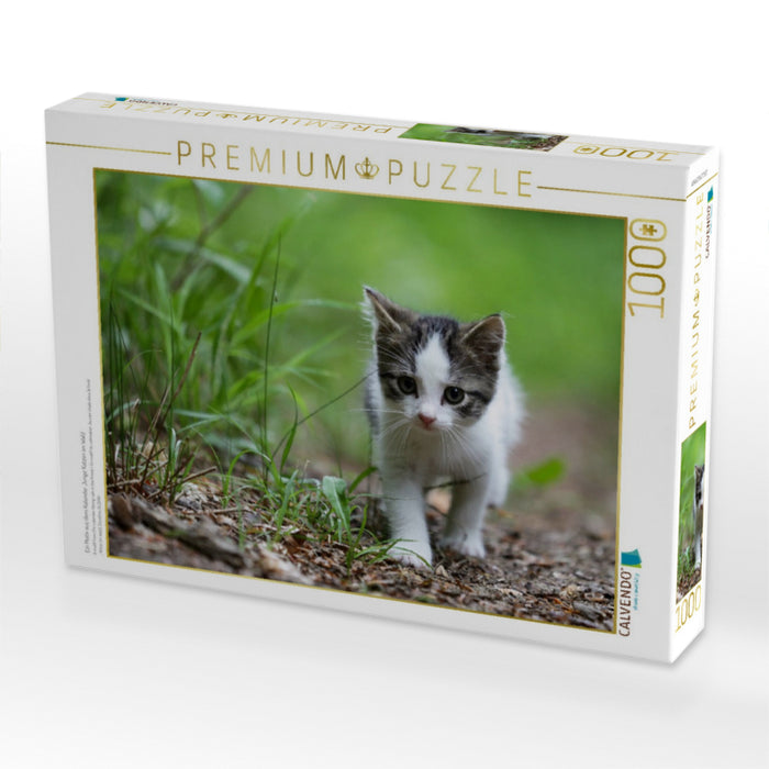 Ein Motiv aus dem Kalender Junge Katzen im Wald - CALVENDO Foto-Puzzle'