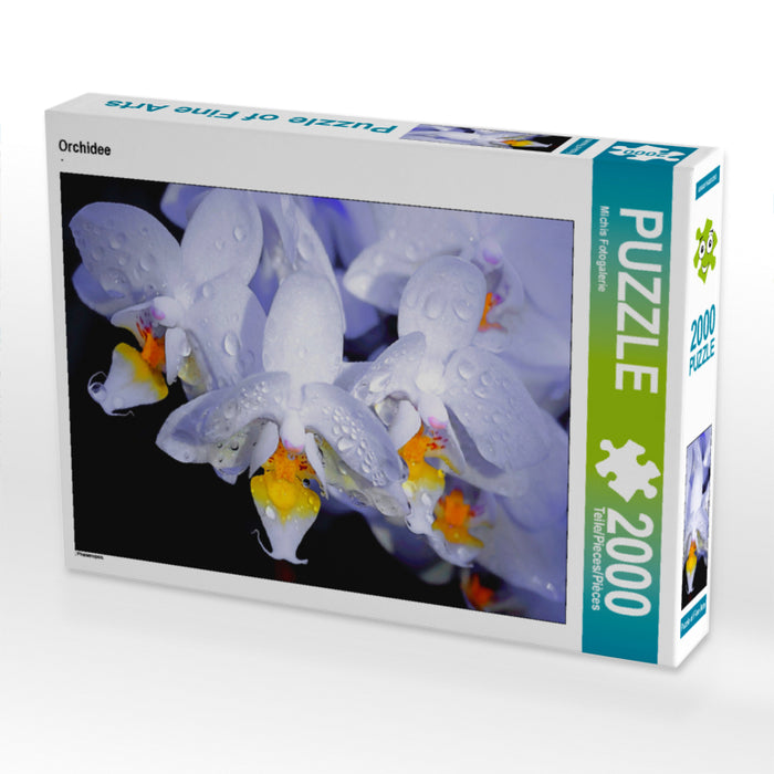 Orchid - CALVENDO photo puzzle 