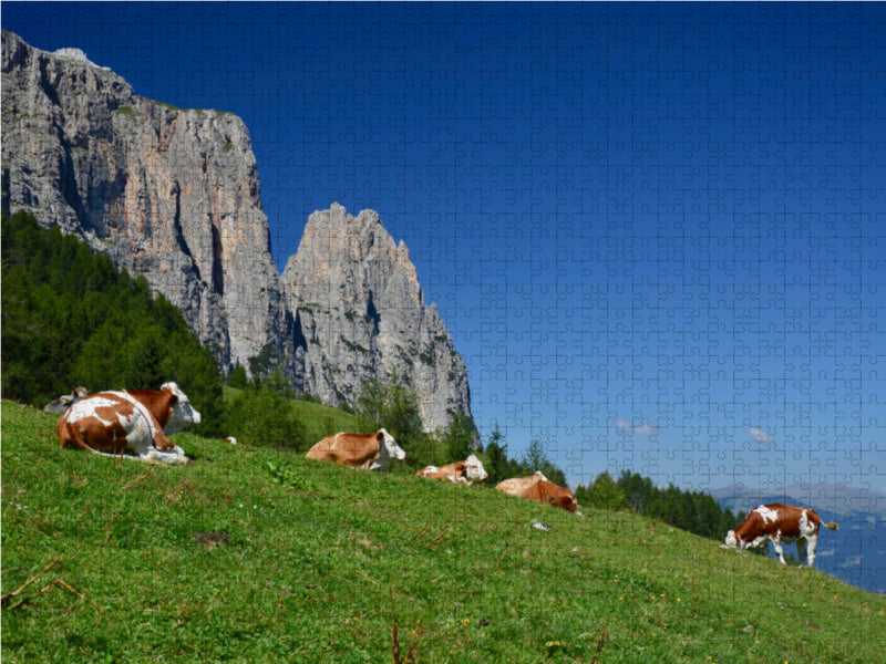 Wiederkäuen unterm Schlern 2000 Teile Puzzle quer - CALVENDO Foto-Puzzle'