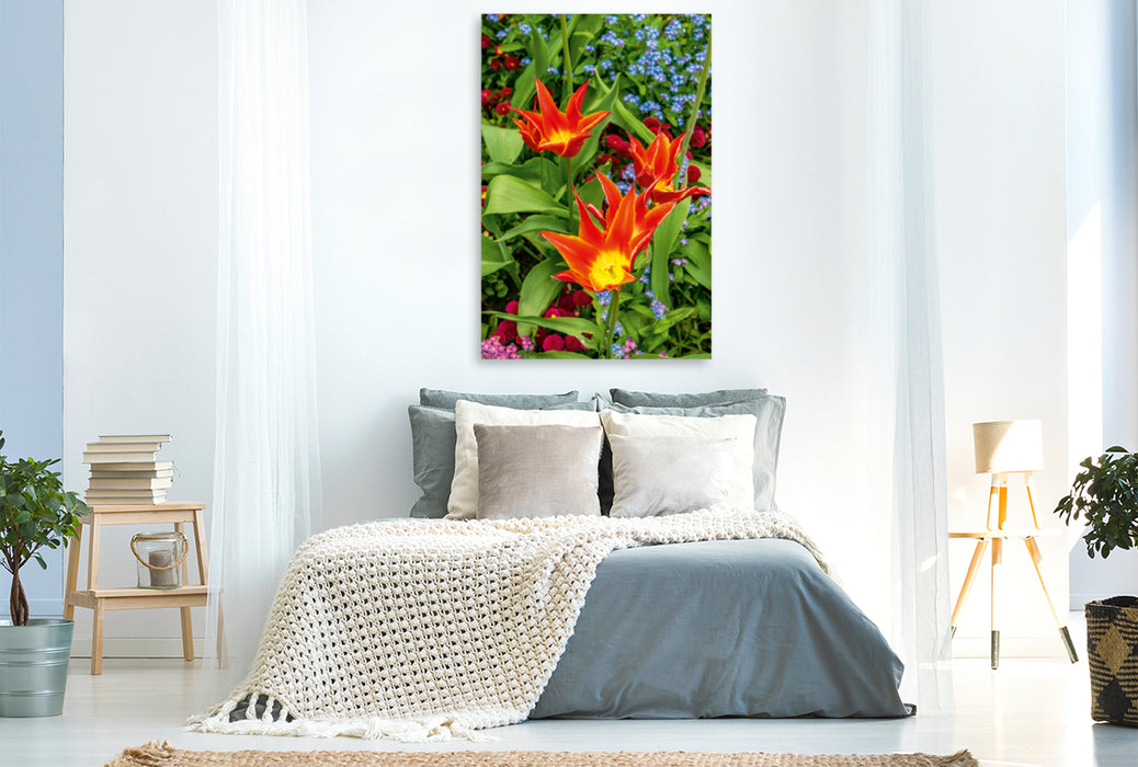 Premium Textil-Leinwand Premium Textil-Leinwand 80 cm x 120 cm  hoch Ein Motiv aus dem Kalender Farbenreiches Tulpenparadies