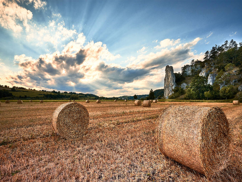 Nach der Ernte am Burgsteinfelsen - CALVENDO Foto-Puzzle'