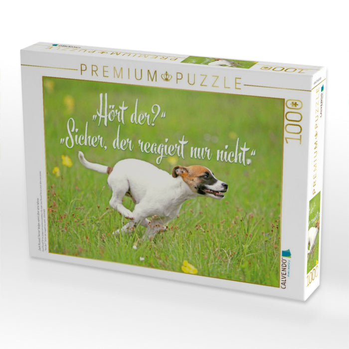 Jack Russell Terrier Welpe rennt über eine Wiese - CALVENDO Foto-Puzzle'