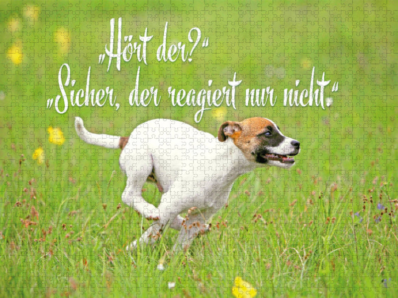 Jack Russell Terrier Welpe rennt über eine Wiese - CALVENDO Foto-Puzzle'