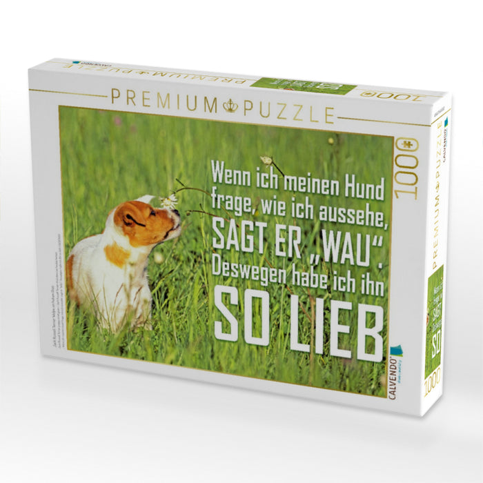 Jack Russell Terrier Welpe im hohen Gras - CALVENDO Foto-Puzzle'