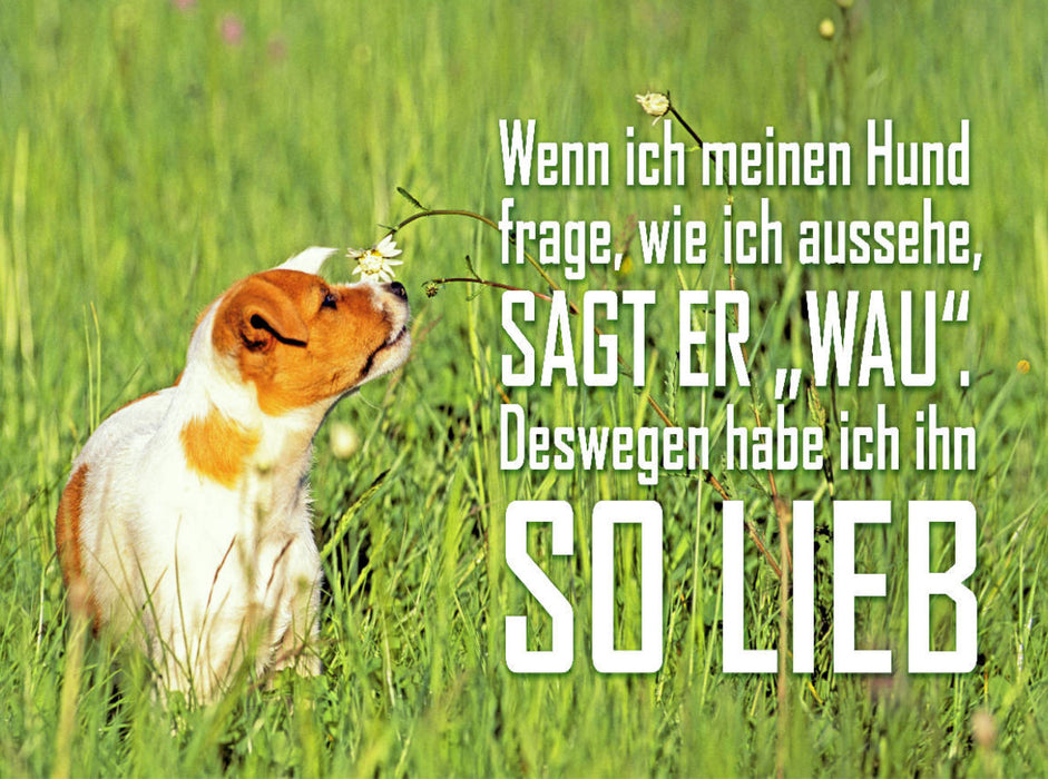 Jack Russell Terrier Welpe im hohen Gras - CALVENDO Foto-Puzzle'
