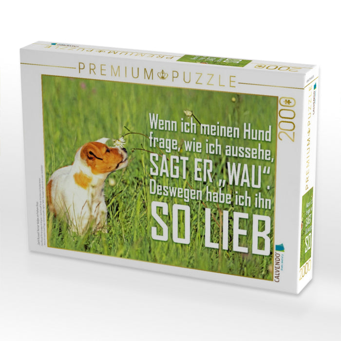 Jack Russell Terrier Welpe im hohen Gras - CALVENDO Foto-Puzzle'
