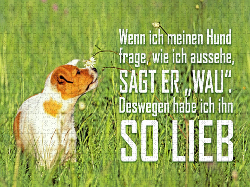Jack Russell Terrier Welpe im hohen Gras - CALVENDO Foto-Puzzle'