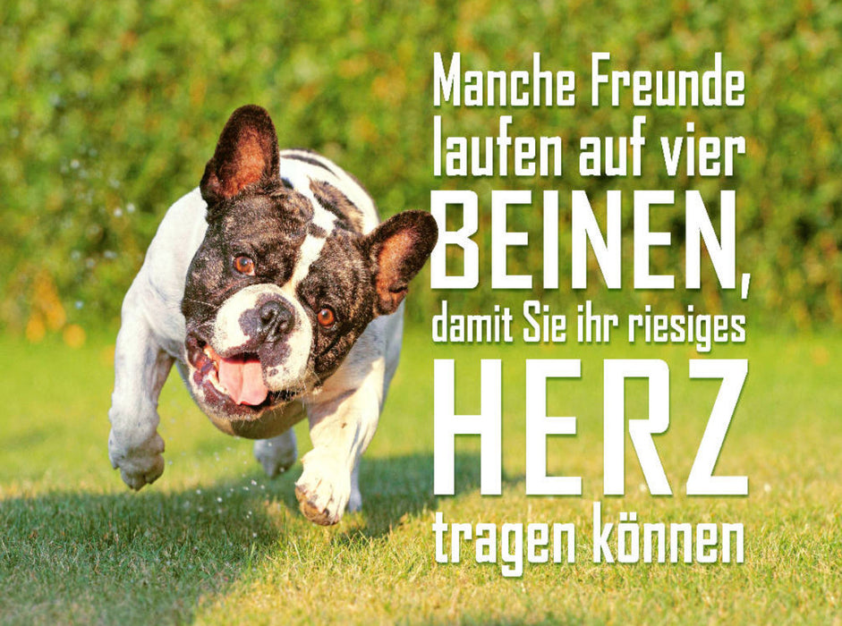 Französische Bulldogge rennt japsend über einen Rasen - CALVENDO Foto-Puzzle'