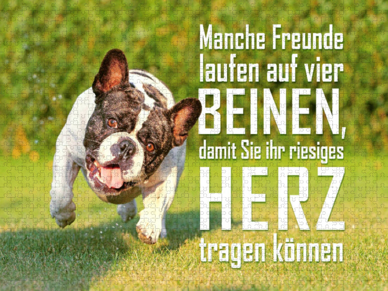 Französische Bulldogge rennt japsend über einen Rasen - CALVENDO Foto-Puzzle'
