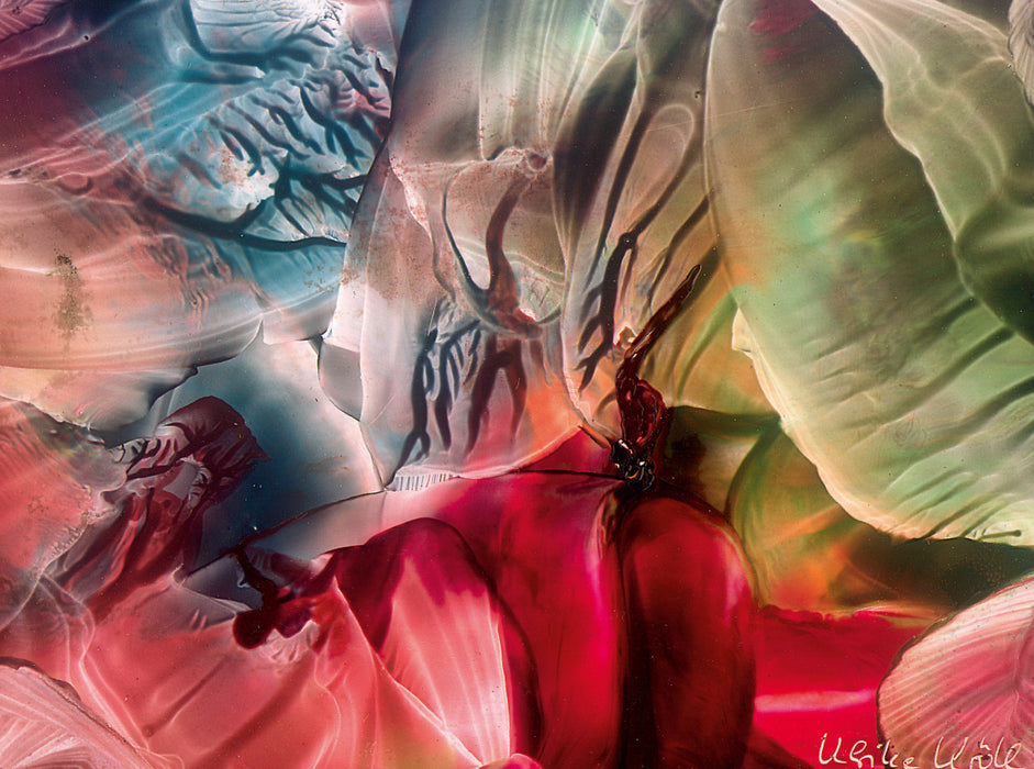 Underwater Worlds I - Encaustic - CALVENDO photo puzzle 