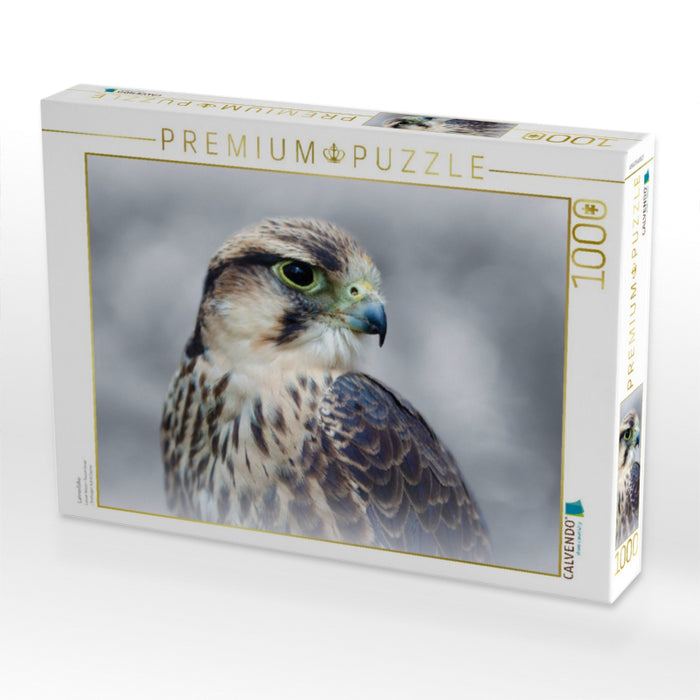 Lannerfalke - CALVENDO Foto-Puzzle'