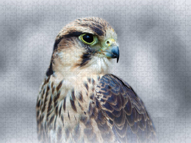 Lannerfalke - CALVENDO Foto-Puzzle'