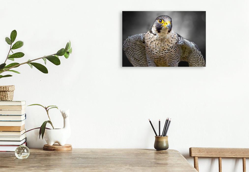 Premium textile canvas Premium textile canvas 120 cm x 80 cm landscape peregrine falcon 