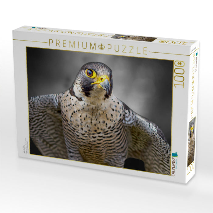 Wanderfalke - CALVENDO Foto-Puzzle'