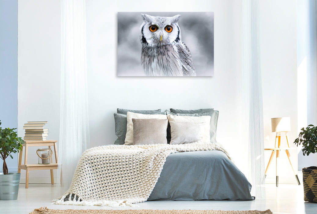 Premium textile canvas Premium textile canvas 120 cm x 80 cm landscape white-faced owl 