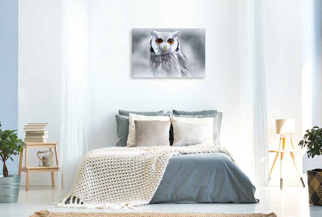 Premium textile canvas Premium textile canvas 120 cm x 80 cm landscape white-faced owl 