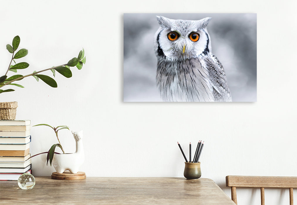 Premium textile canvas Premium textile canvas 120 cm x 80 cm landscape white-faced owl 