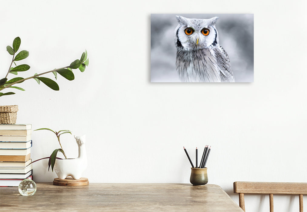 Premium textile canvas Premium textile canvas 120 cm x 80 cm landscape white-faced owl 