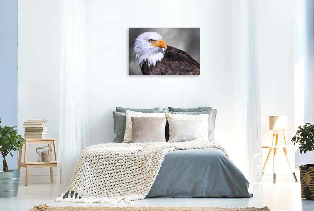 Premium Textil-Leinwand Premium Textil-Leinwand 120 cm x 80 cm quer Weißkopfseeadler