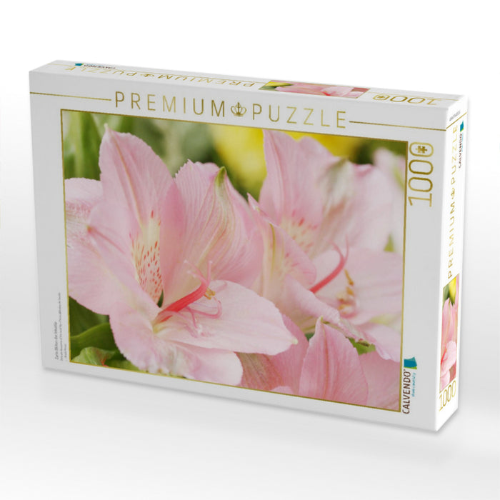 Zarte Blüten der Inkalilie - CALVENDO Foto-Puzzle'