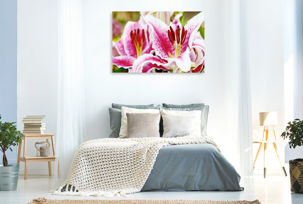 Premium Textil-Leinwand Premium Textil-Leinwand 120 cm x 80 cm quer Lilie 'Stargazer' - Feurige Blüten