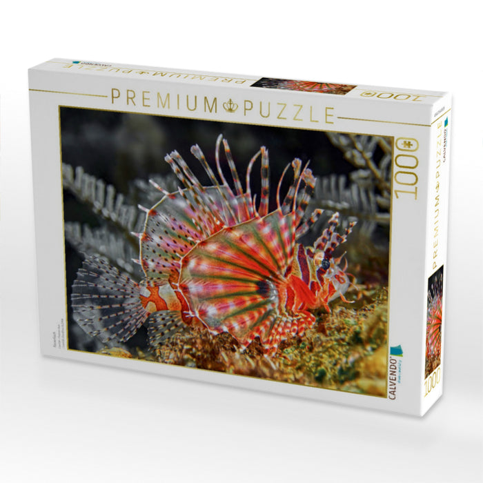 Feuerfisch - CALVENDO Foto-Puzzle'