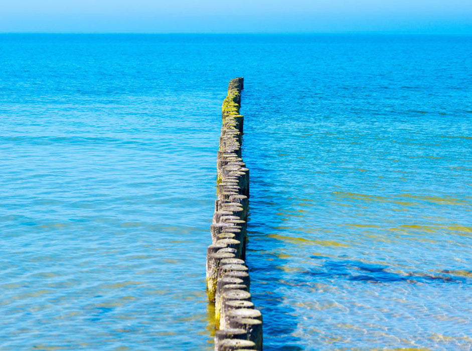 Buhnen aus Holzstämmen schützen den Strand der Insel Hiddensee vor Erosion und ragen weit in das Wasser der Ostsee hinein, Insel Hiddensee, Ostsee, Mecklenburg-Vorpommern, Deutschland - CALVENDO Foto-Puzzle'