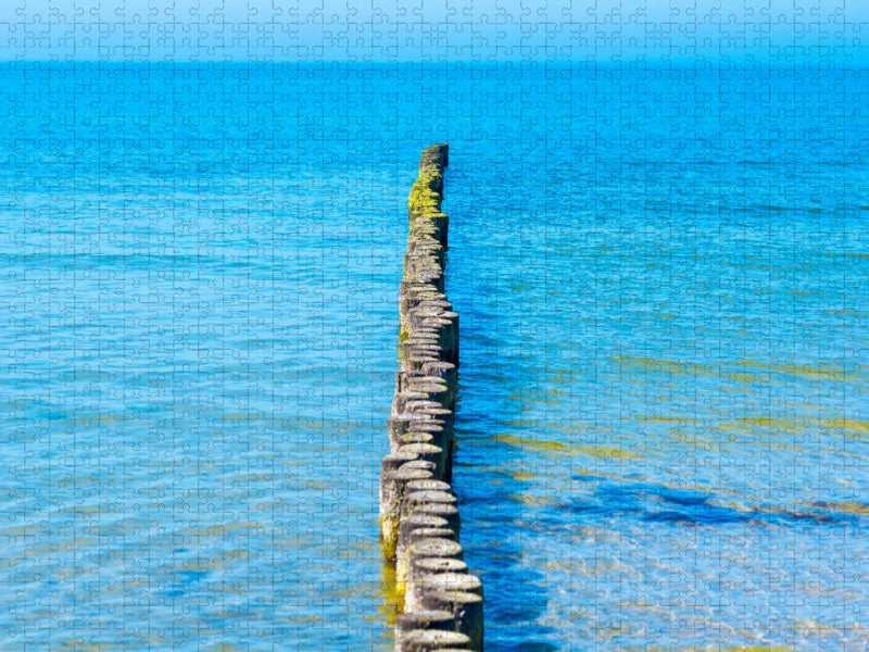 Buhnen aus Holzstämmen schützen den Strand der Insel Hiddensee vor Erosion und ragen weit in das Wasser der Ostsee hinein, Insel Hiddensee, Ostsee, Mecklenburg-Vorpommern, Deutschland - CALVENDO Foto-Puzzle'