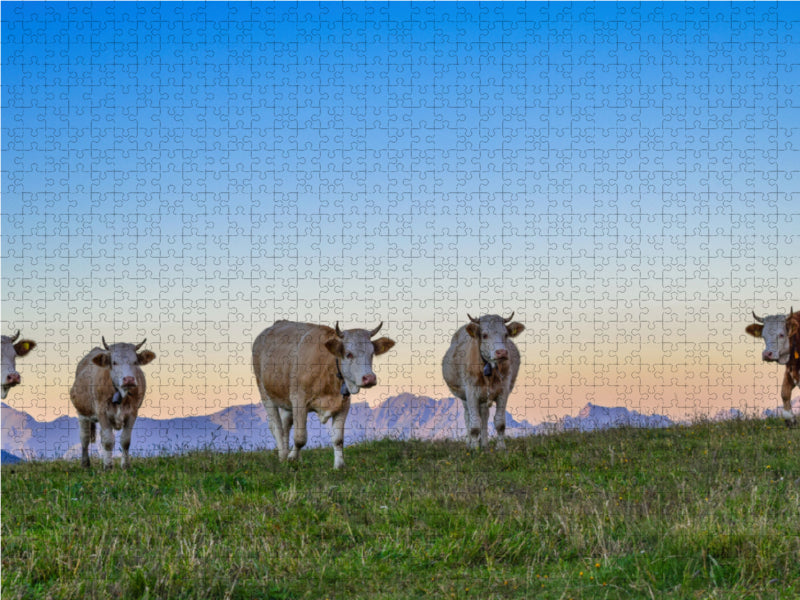 Simmentaler Kühe im Abendrot 2000 Teile Puzzle quer - CALVENDO Foto-Puzzle'