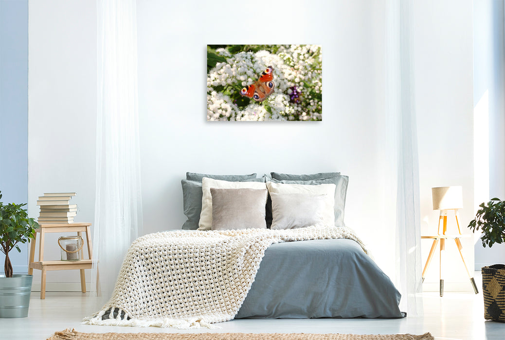 Premium Textil-Leinwand Premium Textil-Leinwand 120 cm x 80 cm quer Tagpfauenauge auf weißen Blüten