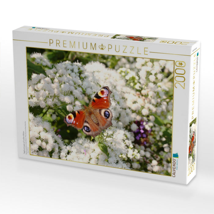 Tagpfauenauge auf weißen Blüten - CALVENDO Foto-Puzzle'
