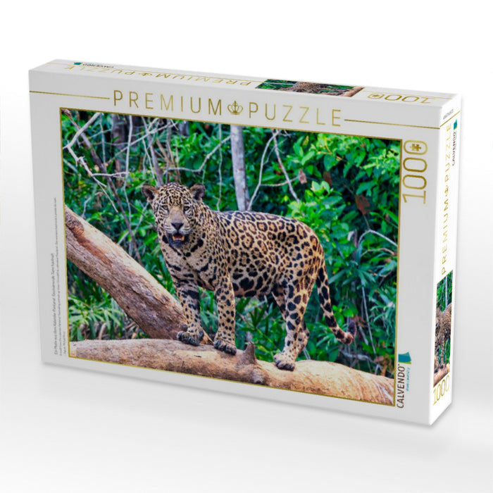 Ein Motiv aus dem Kalender Pantanal: Faszinierende Tiere hautnah - CALVENDO Foto-Puzzle'