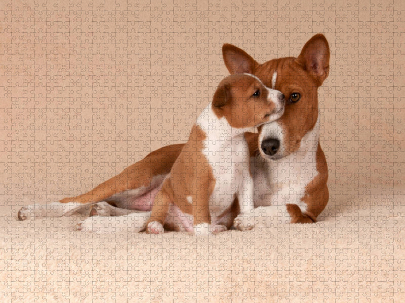 FAJANA 4 Wochen mit ihrer Mutter - CALVENDO Foto-Puzzle'