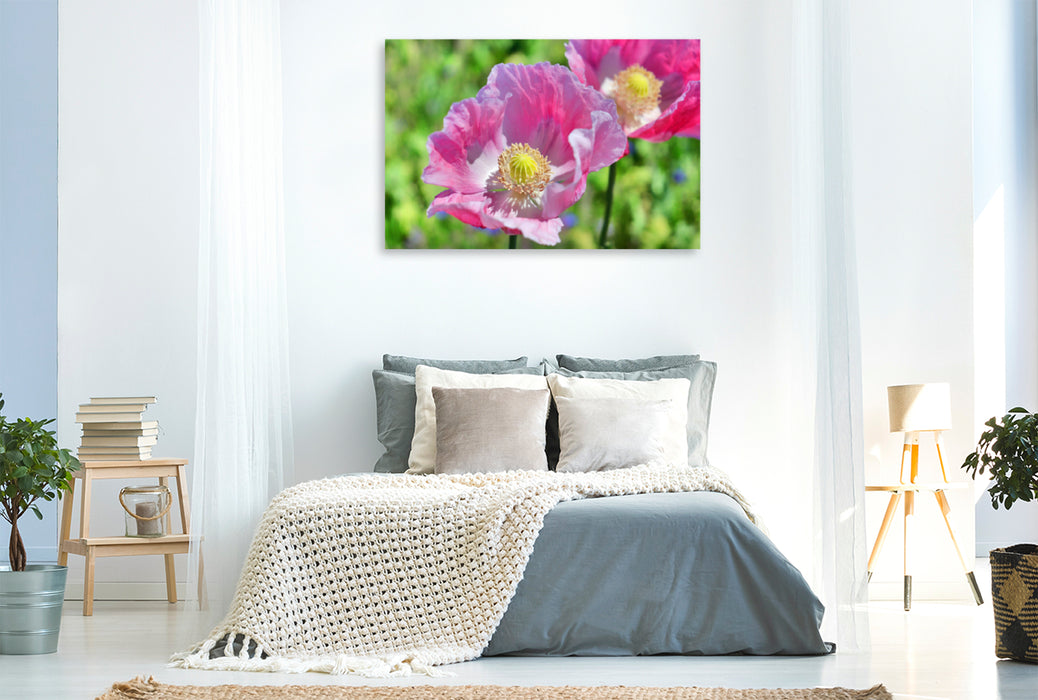 Premium textile canvas Premium textile canvas 120 cm x 80 cm landscape poppy portrait 