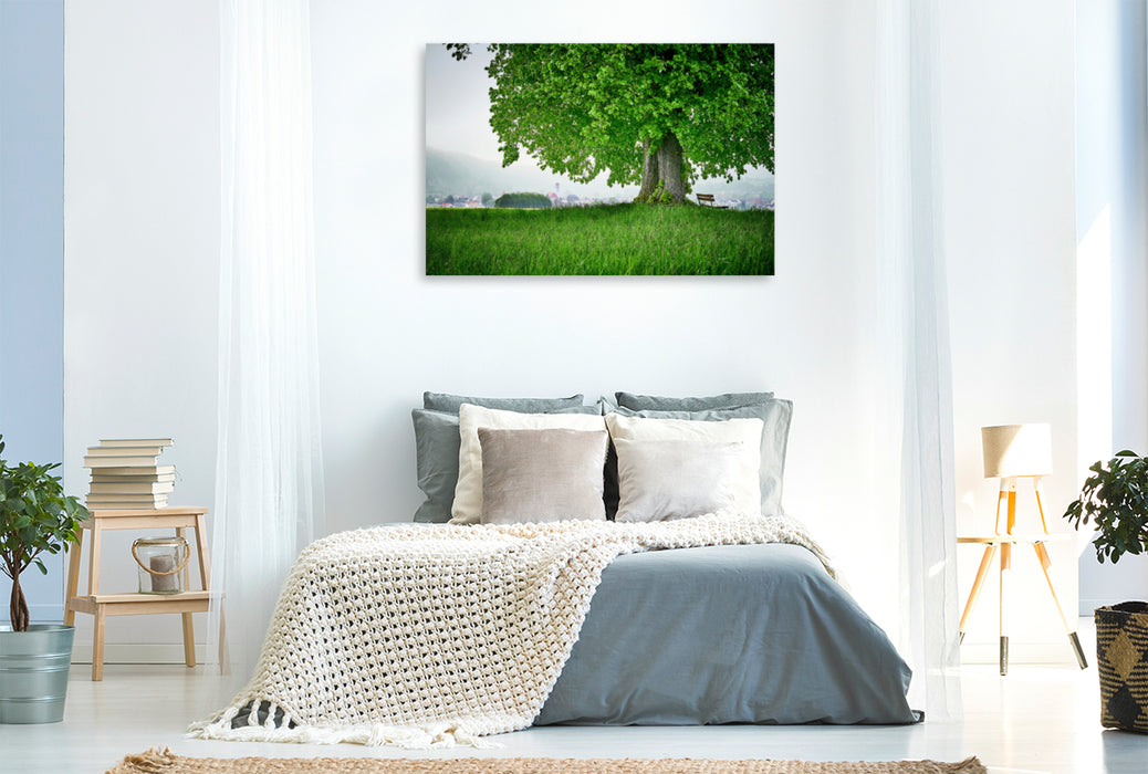 Premium textile canvas Premium textile canvas 120 cm x 80 cm landscape Linden tree in front of Dollnstein 