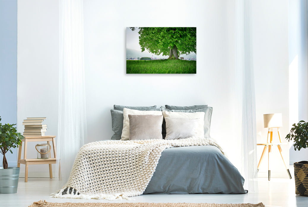 Premium textile canvas Premium textile canvas 120 cm x 80 cm landscape Linden tree in front of Dollnstein 