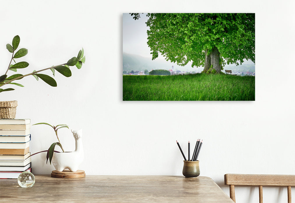 Premium textile canvas Premium textile canvas 120 cm x 80 cm landscape Linden tree in front of Dollnstein 