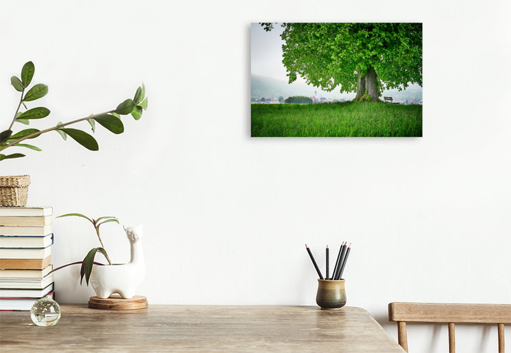 Premium textile canvas Premium textile canvas 120 cm x 80 cm landscape Linden tree in front of Dollnstein 