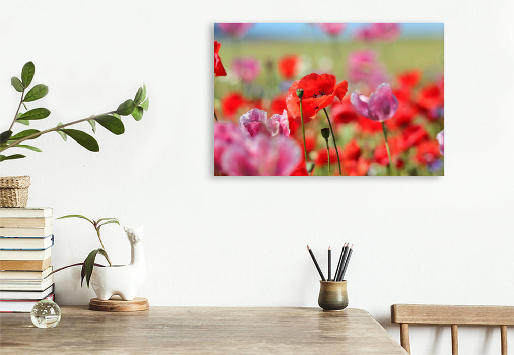 Premium textile canvas Premium textile canvas 120 cm x 80 cm landscape poppies 
