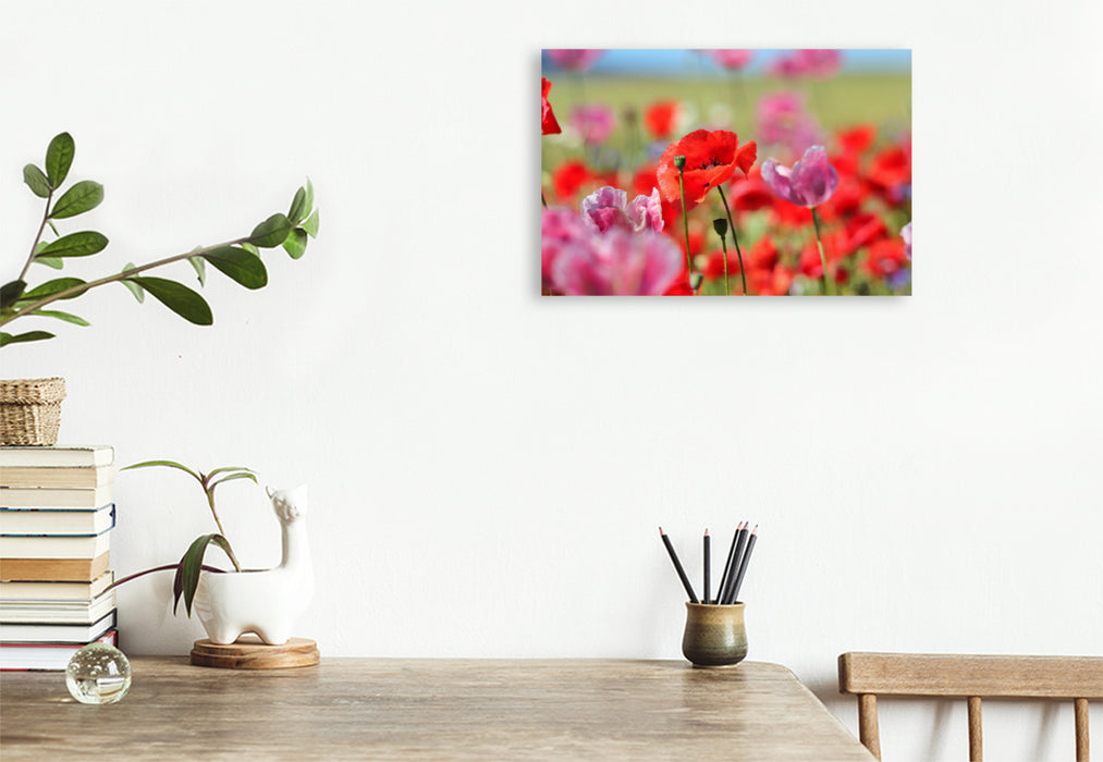 Premium textile canvas Premium textile canvas 120 cm x 80 cm landscape poppies 