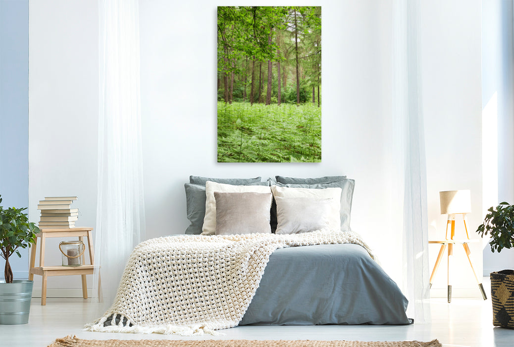 Premium textile canvas Premium textile canvas 80 cm x 120 cm high Eifel - Green energy for forest bathing. 