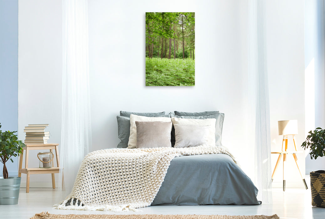 Premium textile canvas Premium textile canvas 80 cm x 120 cm high Eifel - Green energy for forest bathing. 