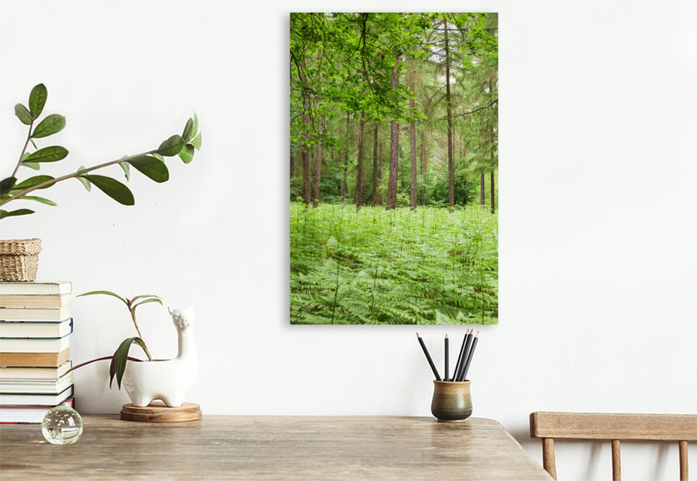 Premium textile canvas Premium textile canvas 80 cm x 120 cm high Eifel - Green energy for forest bathing. 