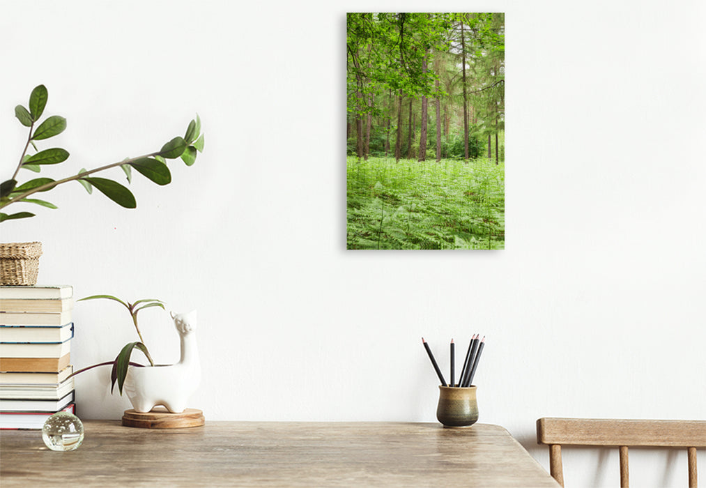 Premium textile canvas Premium textile canvas 80 cm x 120 cm high Eifel - Green energy for forest bathing. 