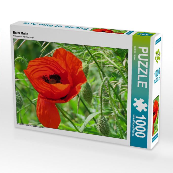 Roter Mohn 2000 Teile Puzzle quer - CALVENDO Foto-Puzzle'