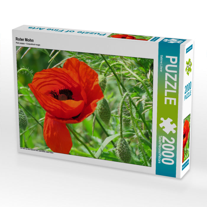 Roter Mohn 2000 Teile Puzzle quer - CALVENDO Foto-Puzzle'