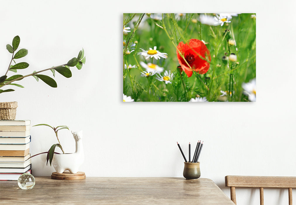 Premium textile canvas Premium textile canvas 120 cm x 80 cm landscape Red poppies and daisies 