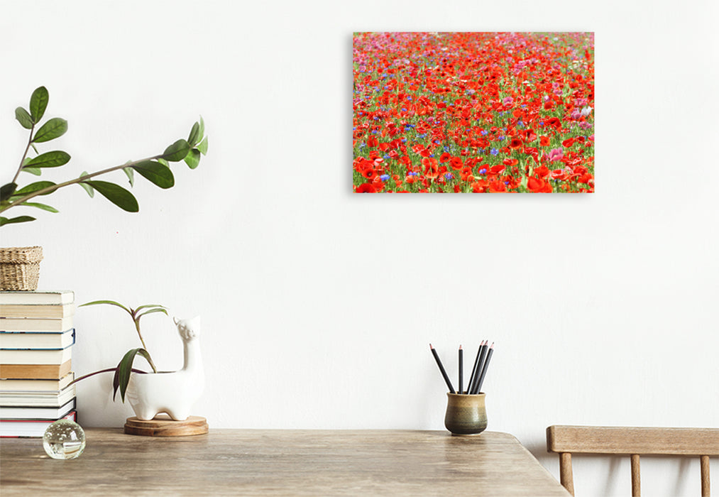 Premium textile canvas Premium textile canvas 120 cm x 80 cm landscape Red sea of ​​flowers 